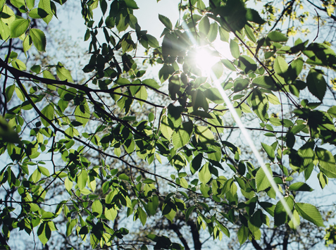 Submission to the Royal Commission into Victoria’s Mental Health System