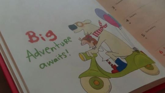  IAYMH through the eyes of an Orygen Youth Delegate 