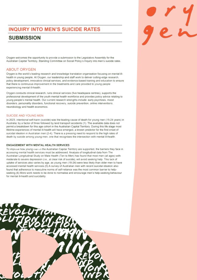 Inquiry into men's suicide rates