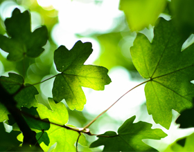 Looking the other way