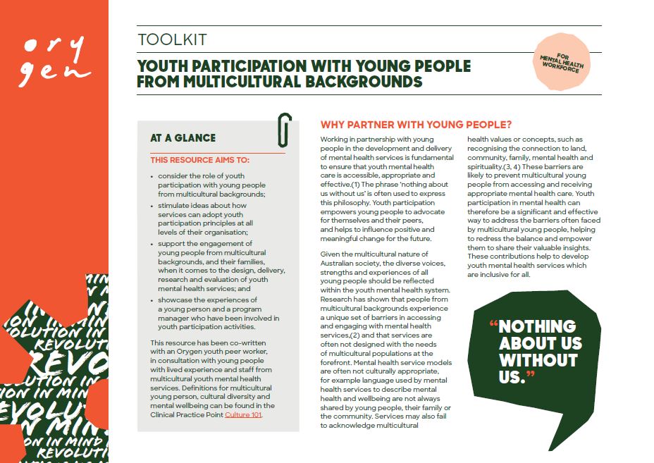 Youth participation with young people from multicultural backgrounds