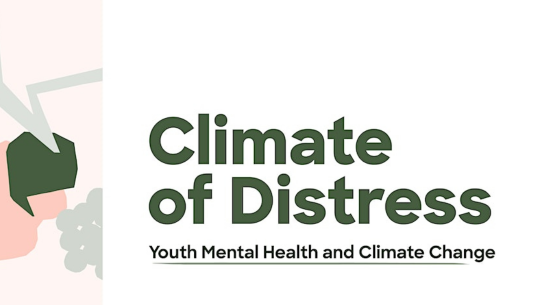 New research shows the scale of climate distress among young Australians: We have 12 solutions