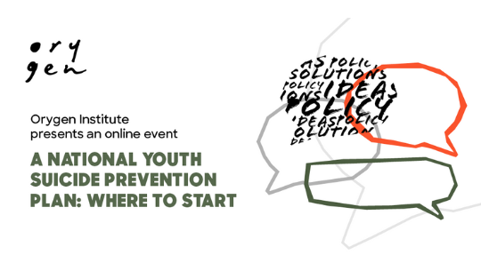  July event: A national youth suicide plan - where to start? 