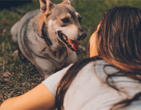  Dogs - our best friends when it comes to mental health therapy