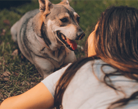 Dogs - our best friends when it comes to mental health therapy