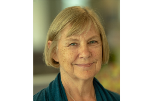 Professor Johanna Wyn picture